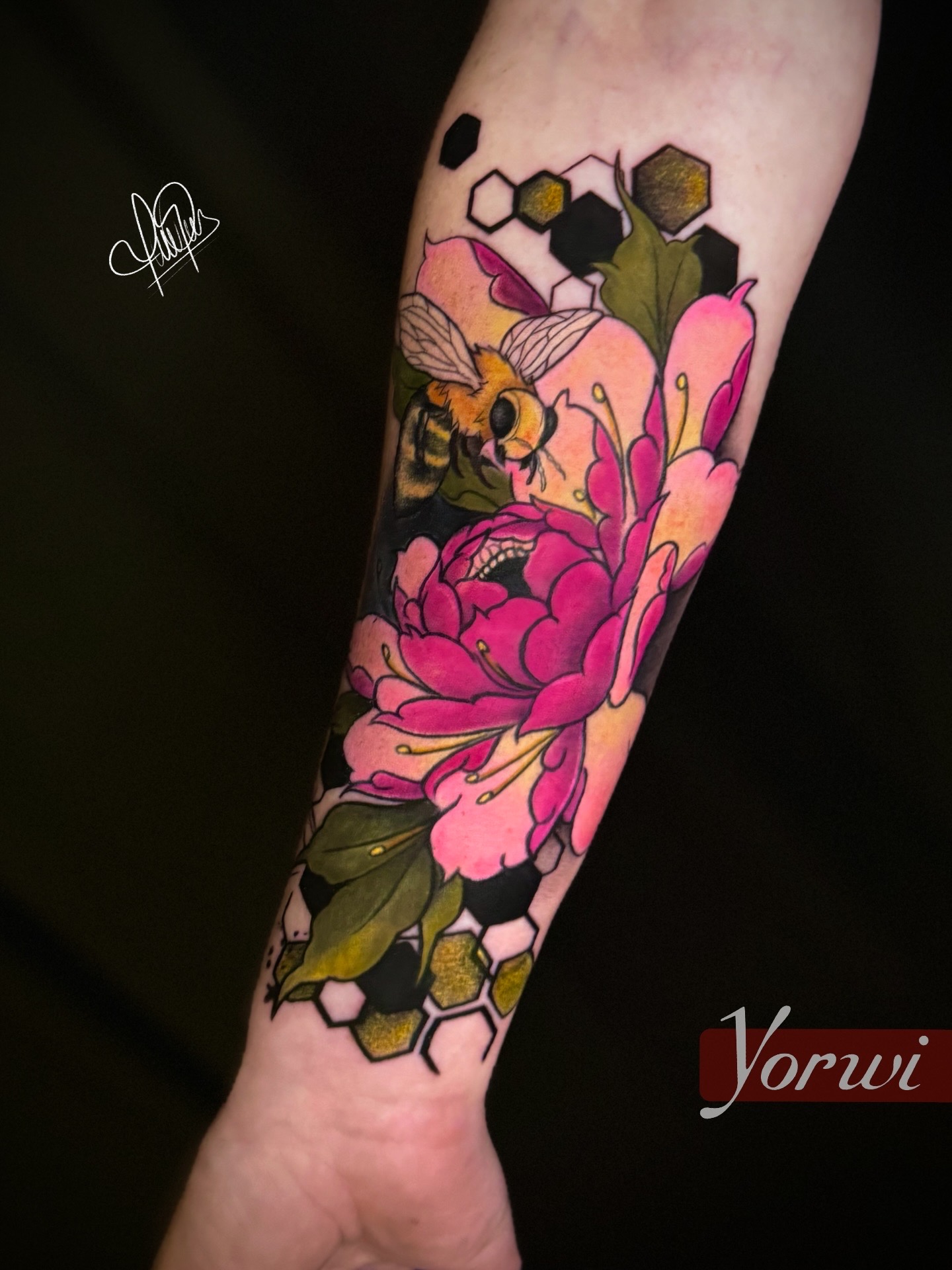 3AEFECCB-A427-4440-B029-B36E6D39FBAB