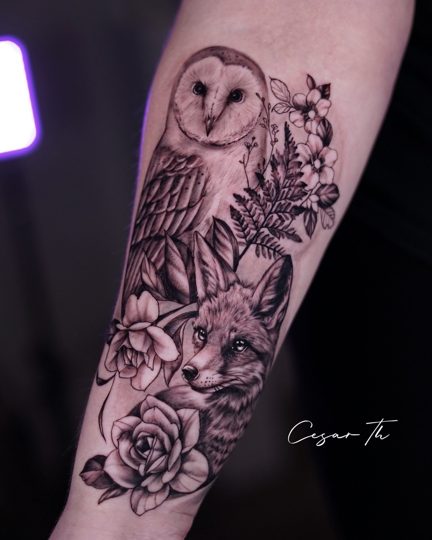 51A155C2-366C-489E-937E-AD95DF19875D